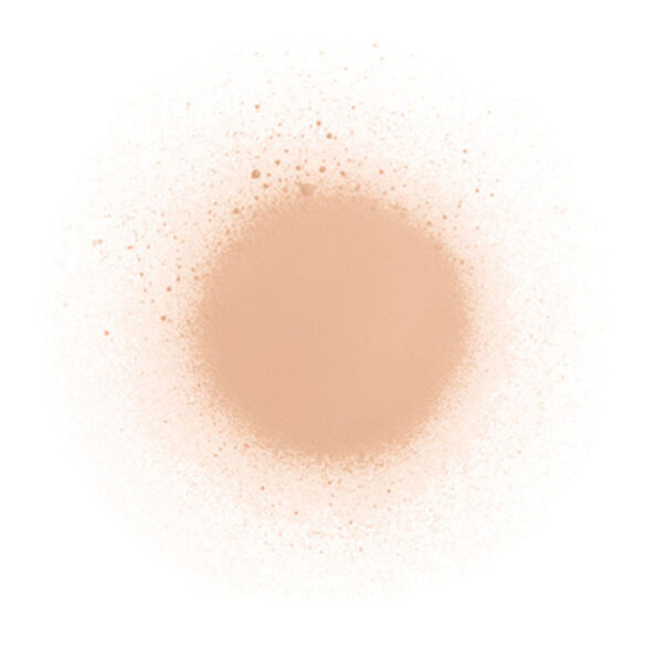 Diego dalla Palma Calze Spray Fondotinta per Gambe e Corpo -Colore N.200 Carnagione Chiara