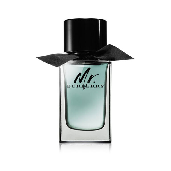 Burberry Mr. Burberry Eau de Toilette -100 ml