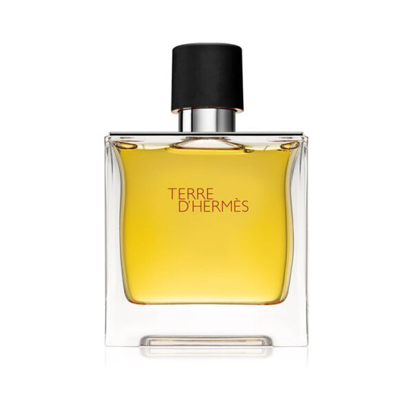 Hermes Terre d'Hermes Eau de Toilete -100 ml