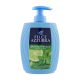Felce Azzurra Sapone Liquido con Antibatterico -300 ml